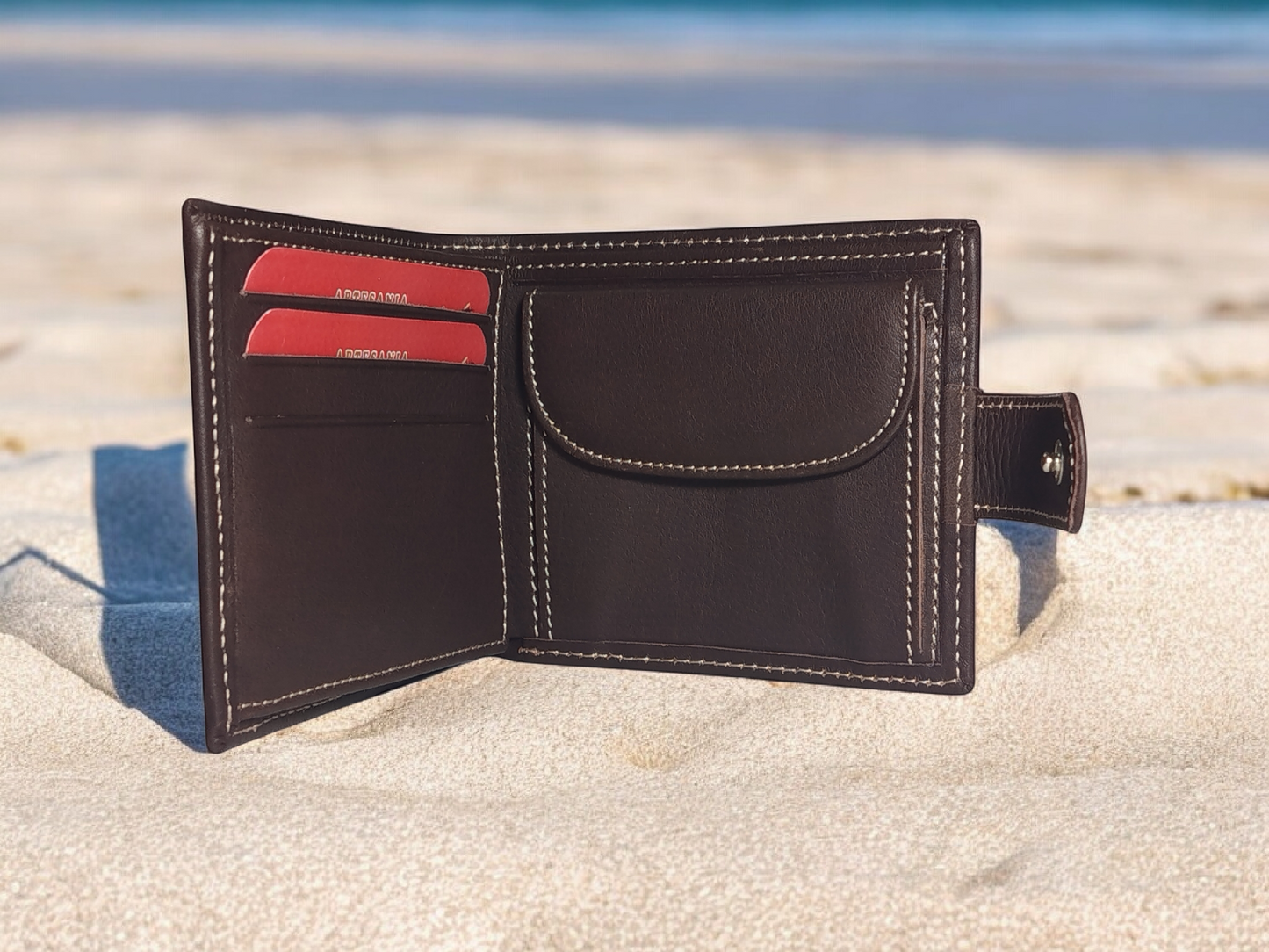 CARTERA DE PIEL MARRÓN. CON BROCHE