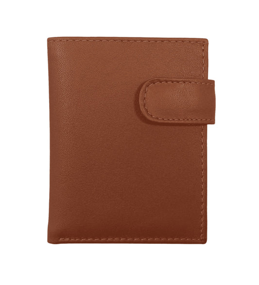 CARTERA DE PIEL. MARRÓN CON BROCHE